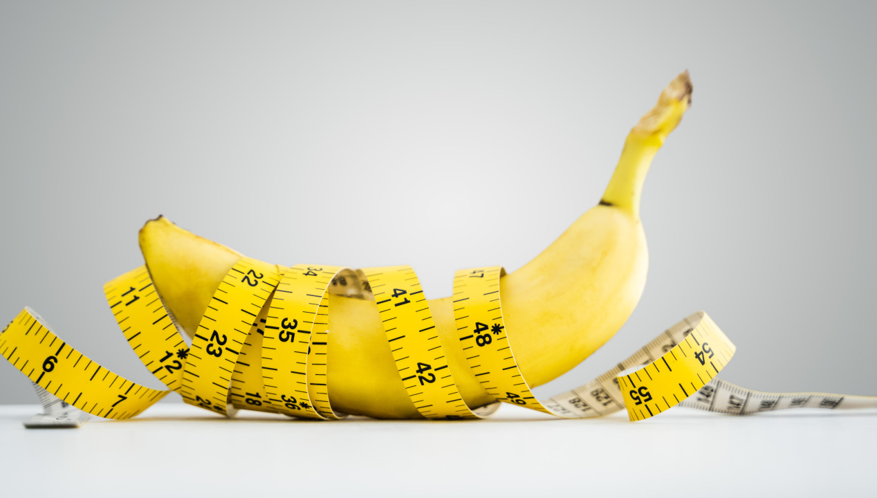 Das sind nicht zwanzig Zentimeter, …, Artikelbild