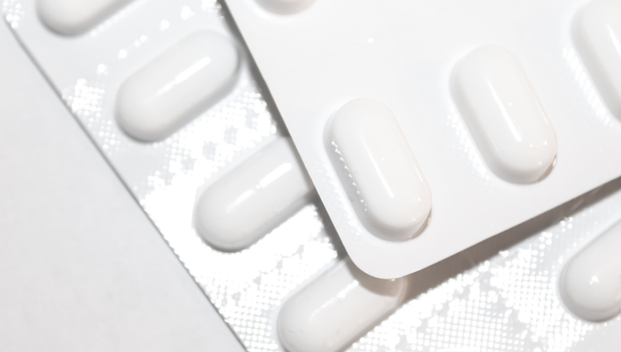 Sägepalme, Artikelbild