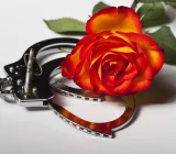 Deutschland, deine Sextoys, Artikelbild