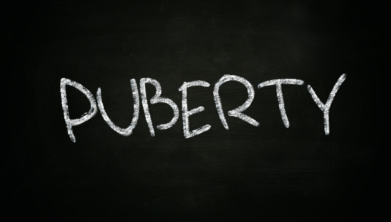 Pubertät, Artikelbild