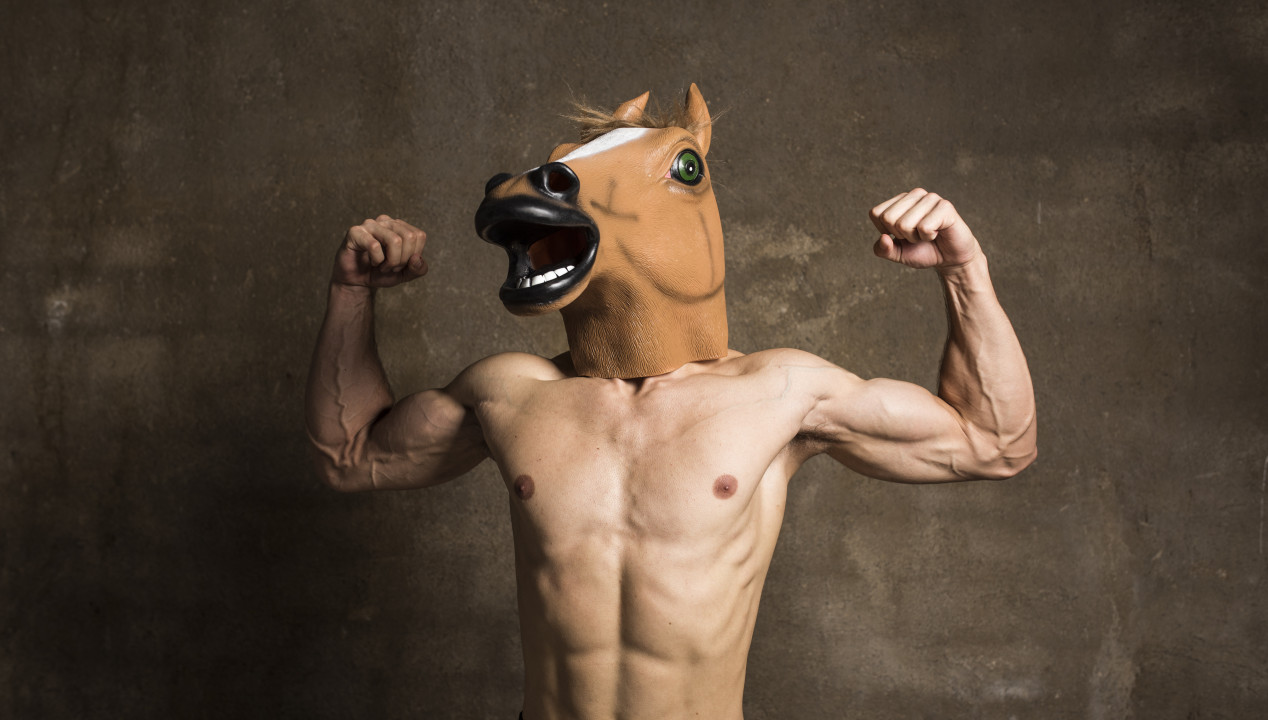 Ponyplay, Artikelbild