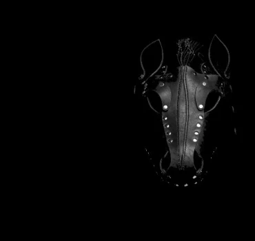 Mach‘ mir den Hengst – Pferdekonnotationen in der Erotik, Artikelbild