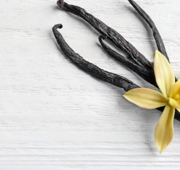 Vanille: Edelste Sinnlichkeit zum Riechen und Schmecken, Artikelbild