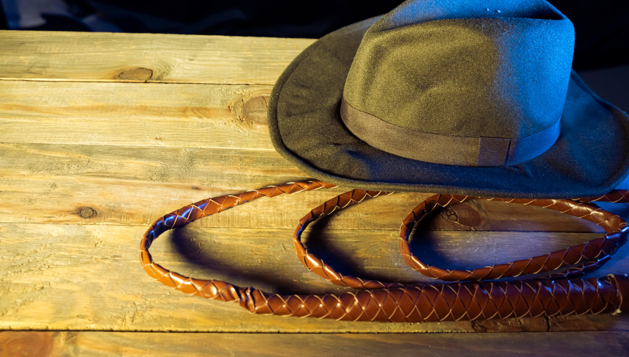 Bullwhip, Artikelbild