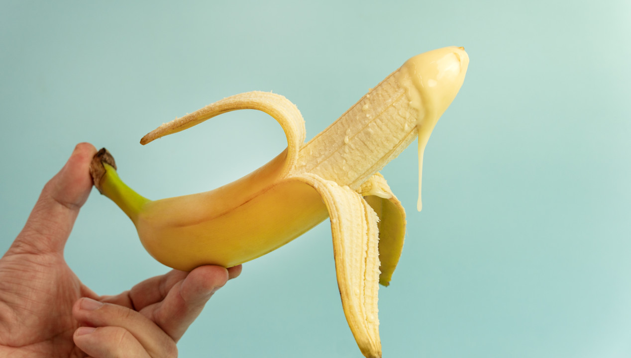 Dauererektion (Priapismus), Artikelbild