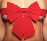 Sexy präsent(iert): Wann ist erotisches Spielzeug ein Volltreffer?, Artikelbild