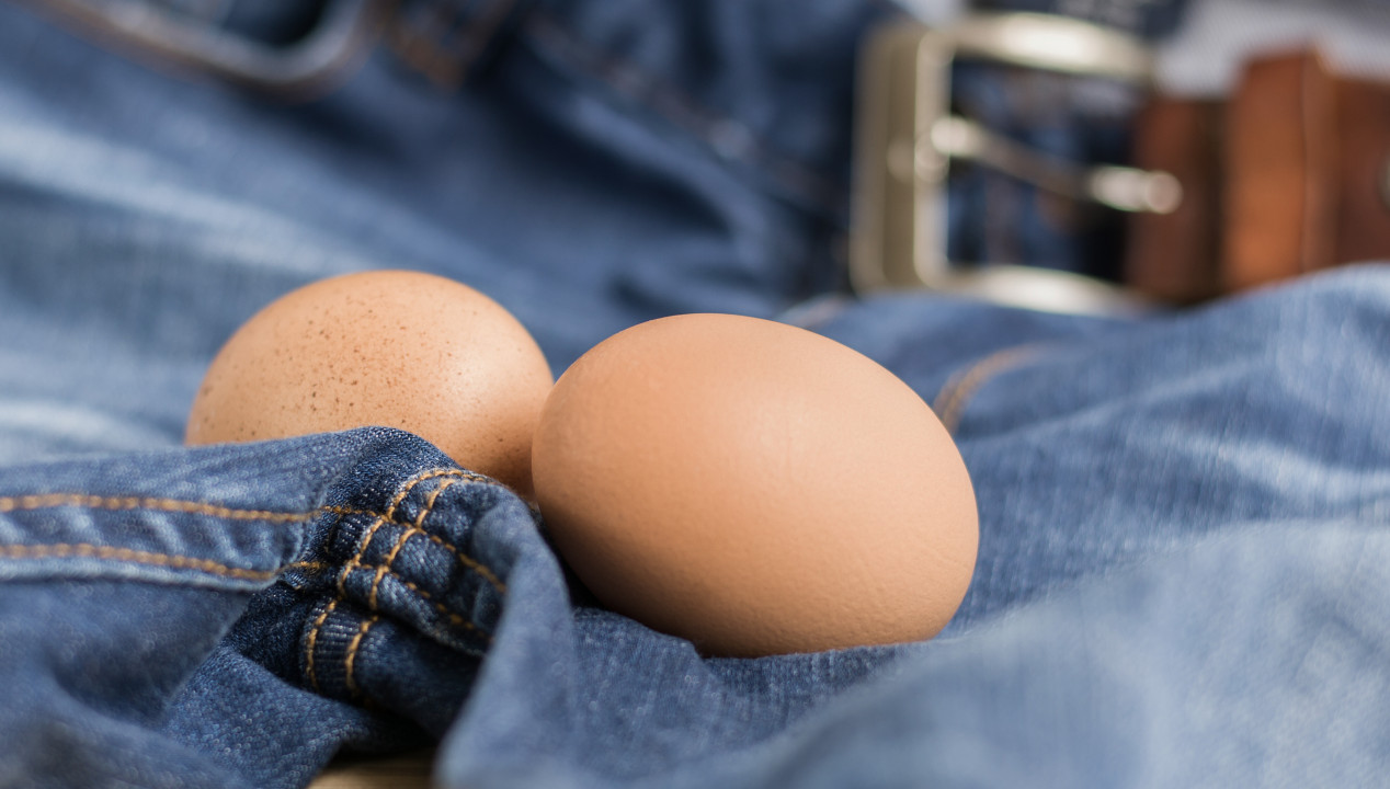 Cock and Ball-Torture CBT, Artikelbild
