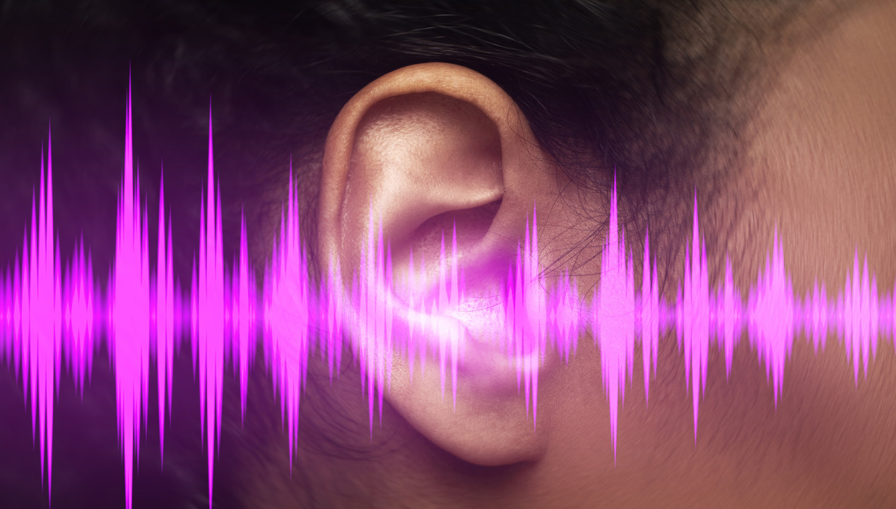 ASMR (Autonomous Sensory Meridian Response), Artikelbild