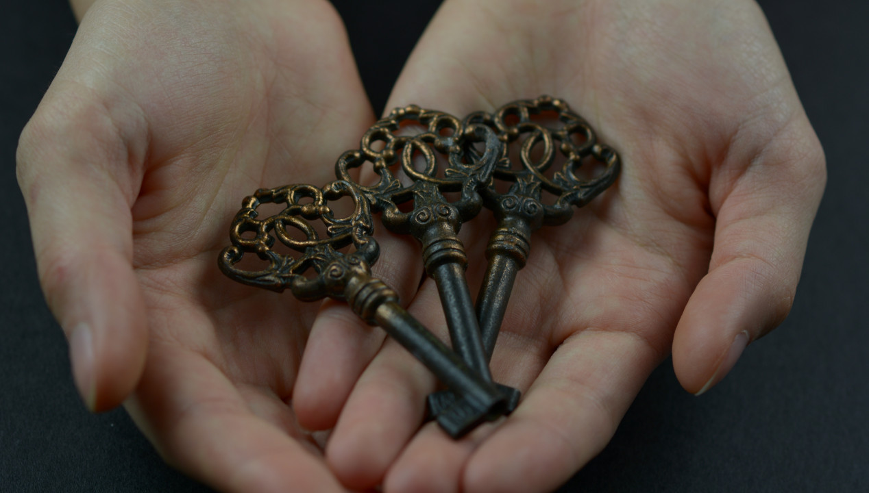 Triple Penetration (TP), Artikelbild