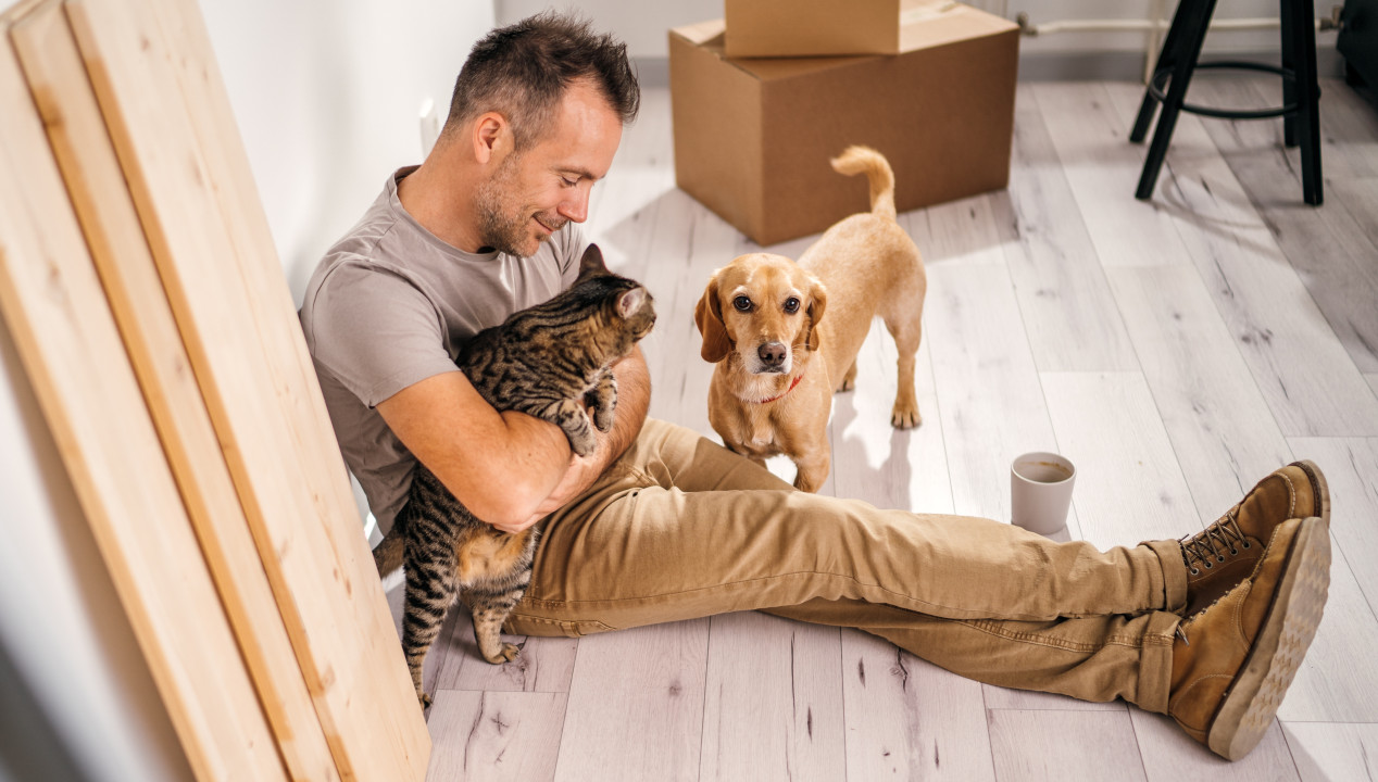 Hat man als Haustierbesitzer bessere Chancen beim Online-Dating?, Artikelbild